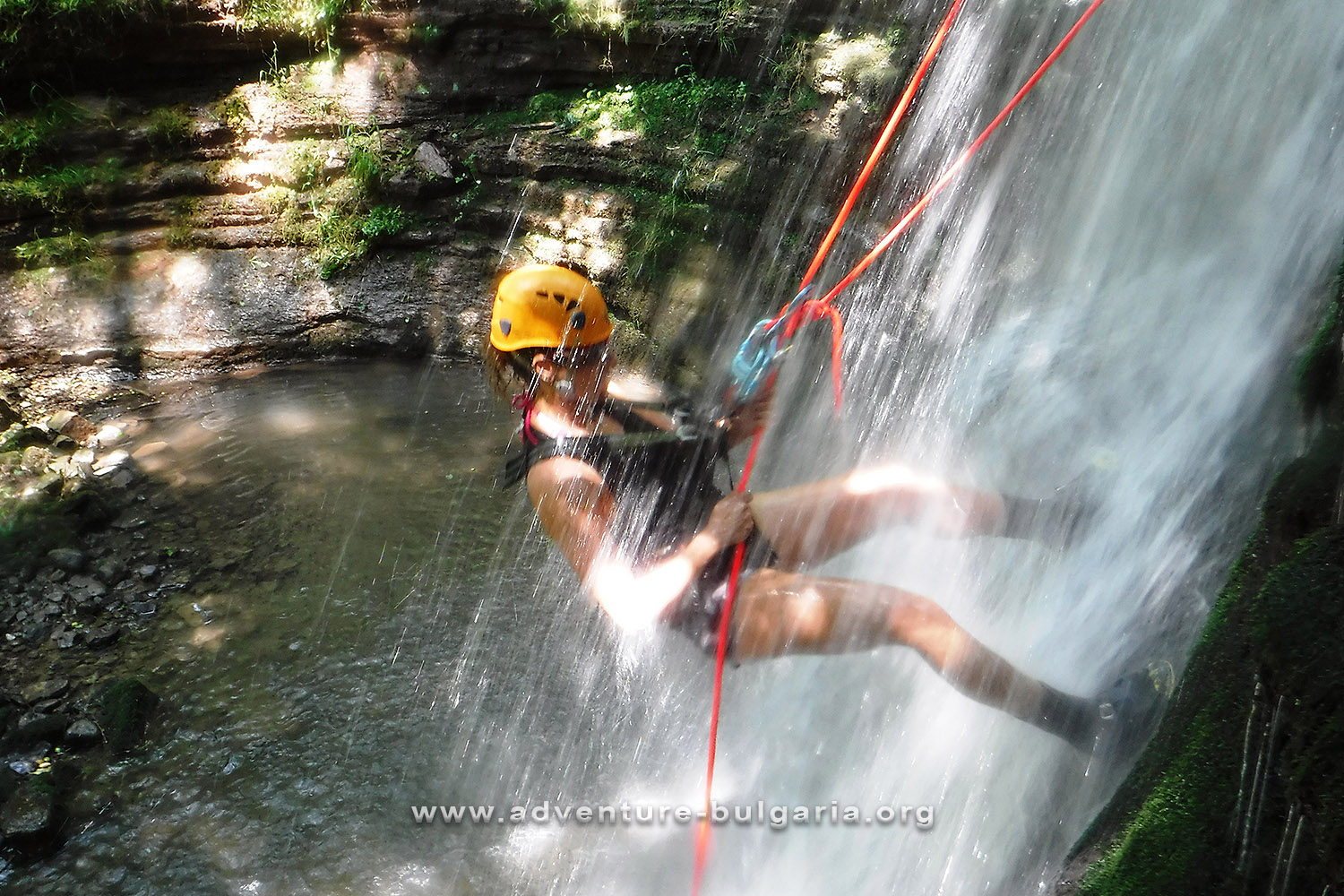 Ecopath in the Iskar Gorge