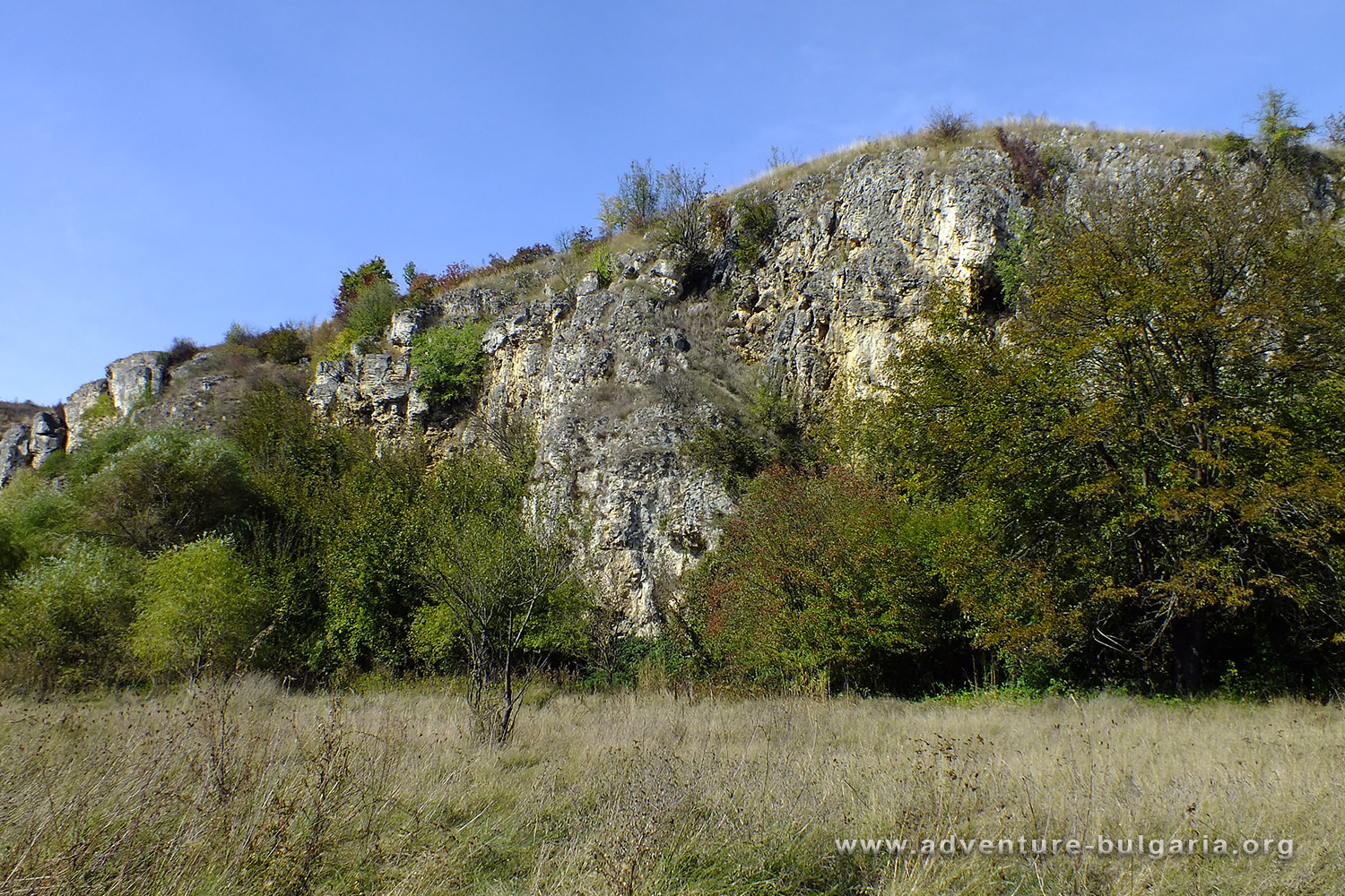 
Местността Среднио Камик, село Царевец