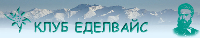 Лого на клуб Еделвайс